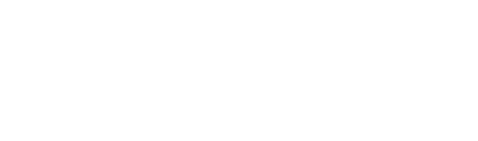 株式会社インビクタス